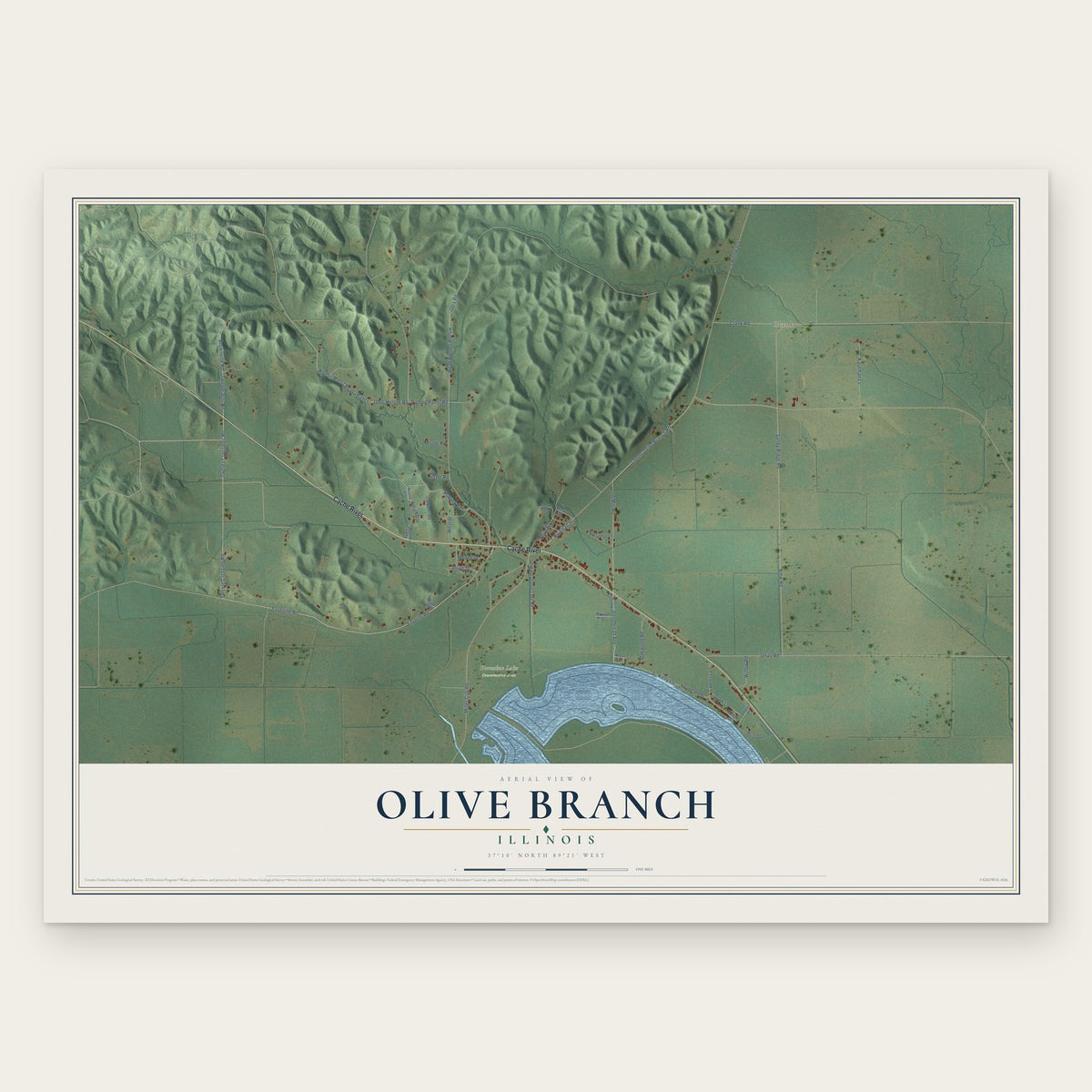 Olive Branch, Illinois map print, the full design