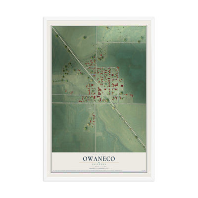 Map of Owaneco, Illinois, 12 x 18 inch print in a white wood frame