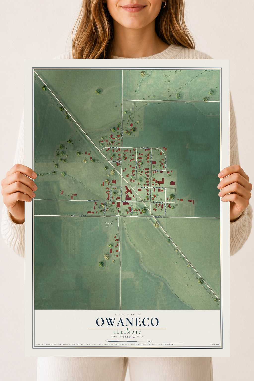 Map of Owaneco, Illinois, 18 x 24 inch unframed archival matte print
