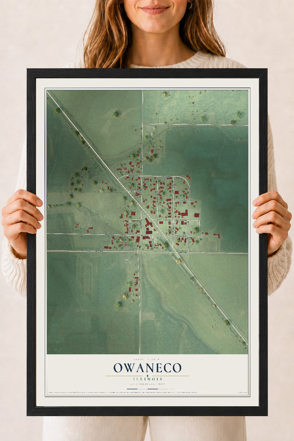 Map of Owaneco, Illinois, 18 x 24 inch print in a black wood frame
