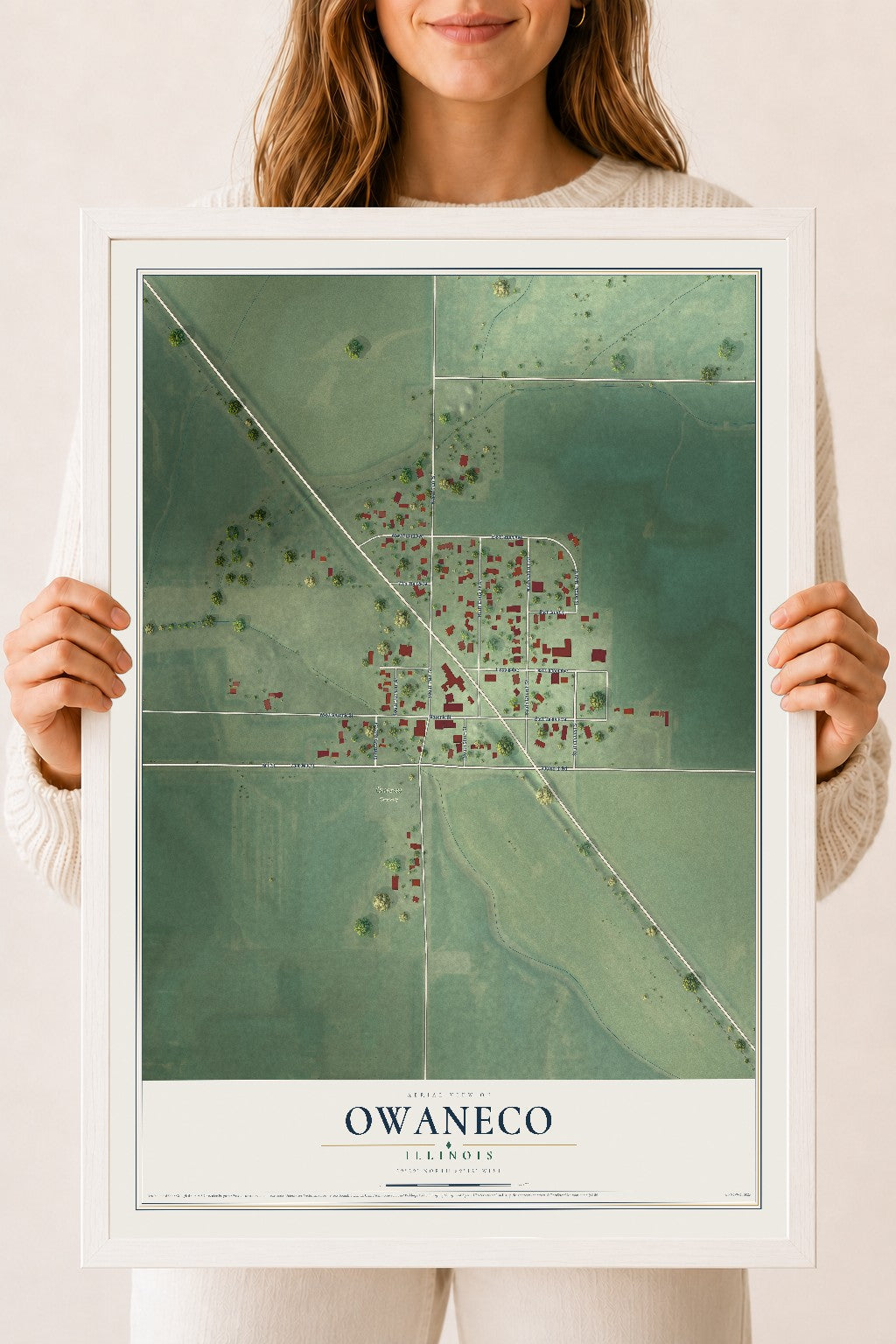 Map of Owaneco, Illinois, 18 x 24 inch print in a white wood frame