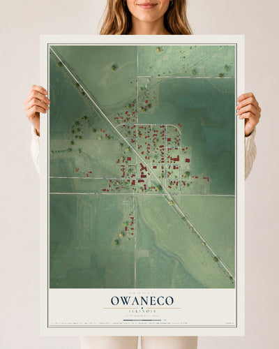 Map of Owaneco, Illinois, 24 x 36 inch unframed archival matte print