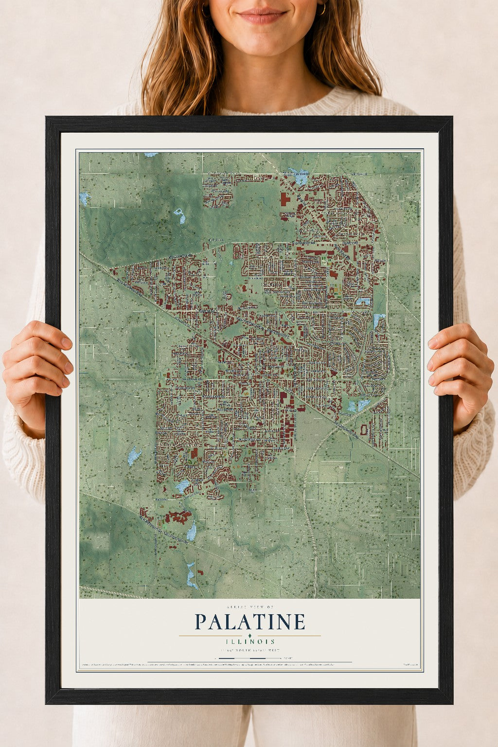 Map of Palatine, Illinois, 18 x 24 inch print in a black wood frame