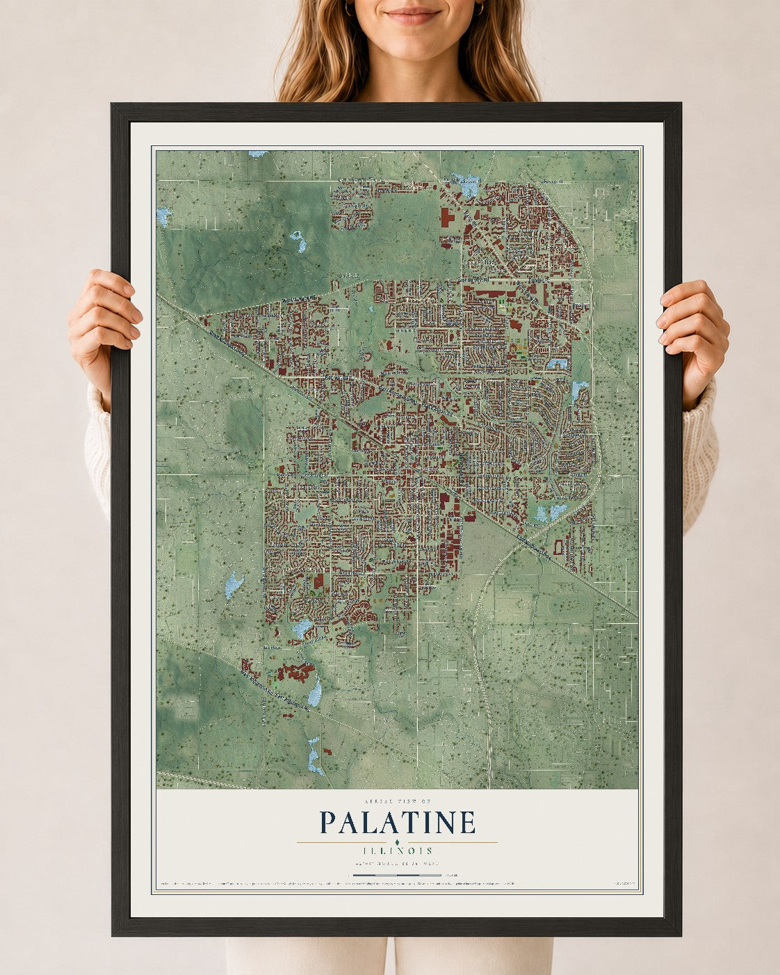 Map of Palatine, Illinois, 24 x 36 inch print in a black wood frame