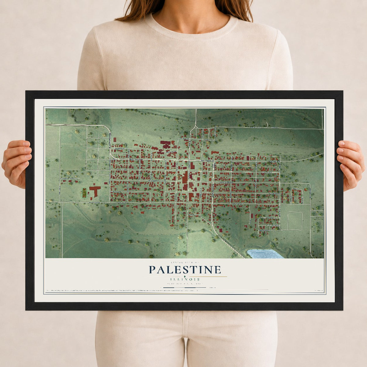 Map of Palestine, Illinois, 12 x 18 inch print in a black wood frame