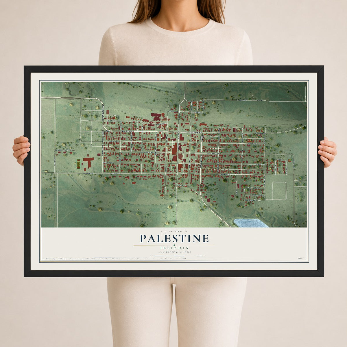 Map of Palestine, Illinois, 24 x 36 inch print in a black wood frame