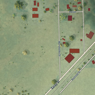 Second close-up of the map of Palmer, Illinois print showing more streets and buildings