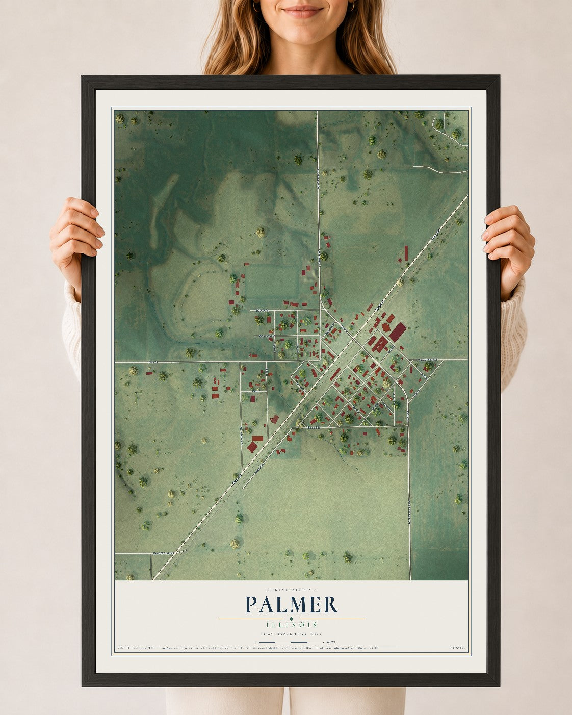 Map of Palmer, Illinois, 24 x 36 inch print in a black wood frame