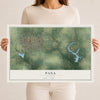 Map of Pana, Illinois, 12 x 18 inch unframed archival matte print