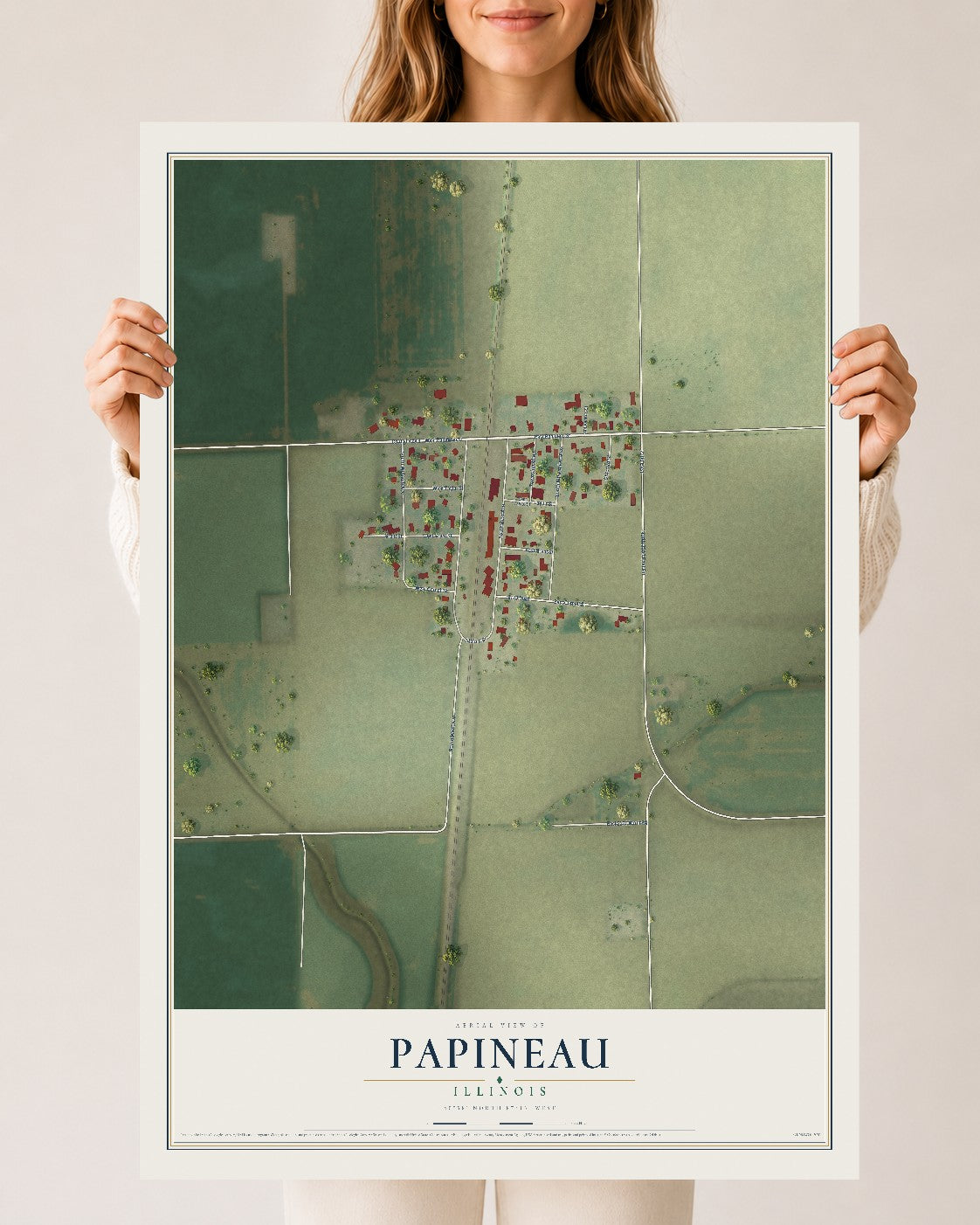 Map of Papineau, Illinois, 24 x 36 inch unframed archival matte print