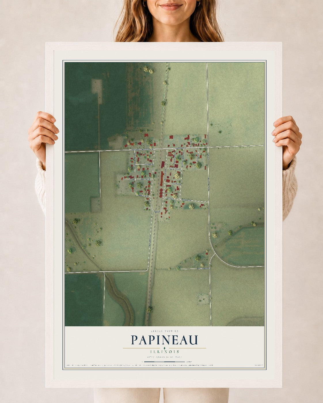 Map of Papineau, Illinois, 24 x 36 inch print in a white wood frame