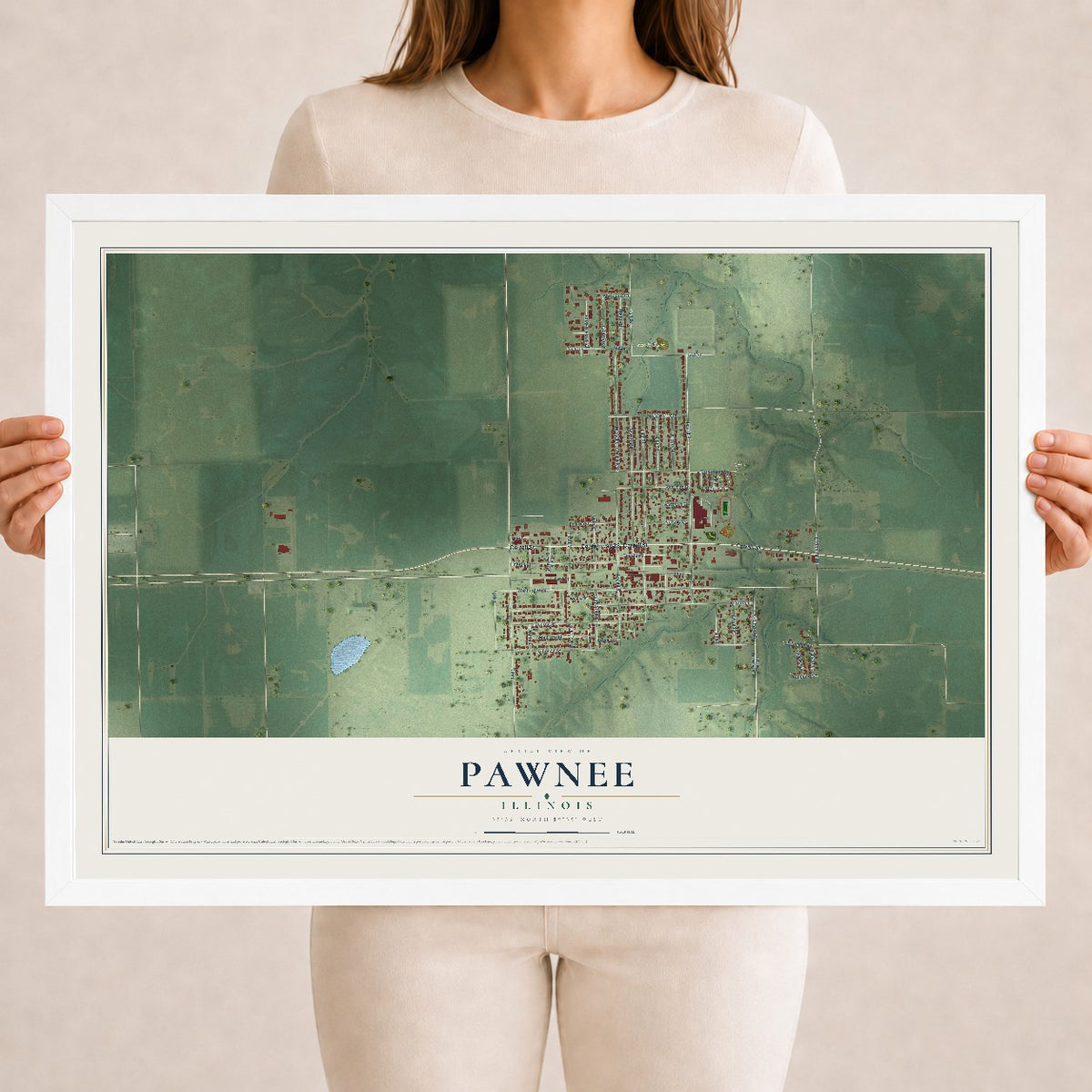 Map of Pawnee, Illinois, 18 x 24 inch print in a white wood frame