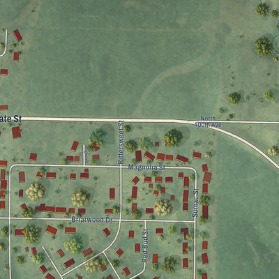 Second close-up of the map of Payson, Illinois print showing more streets and buildings