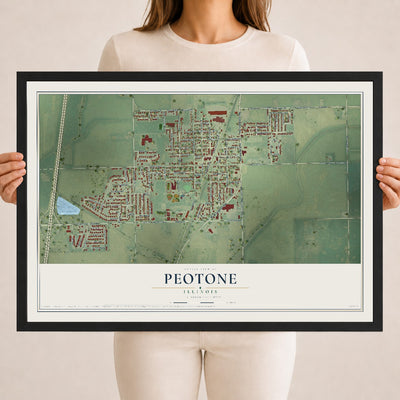 Map of Peotone, Illinois, 18 x 24 inch print in a black wood frame