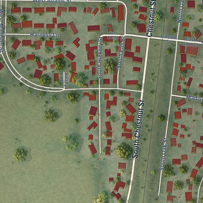Close-up of the map of Pesotum, Illinois print showing street and building detail
