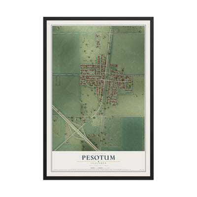 Map of Pesotum, Illinois, 12 x 18 inch print in a black wood frame