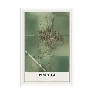 Map of Pesotum, Illinois, 12 x 18 inch print in a white wood frame
