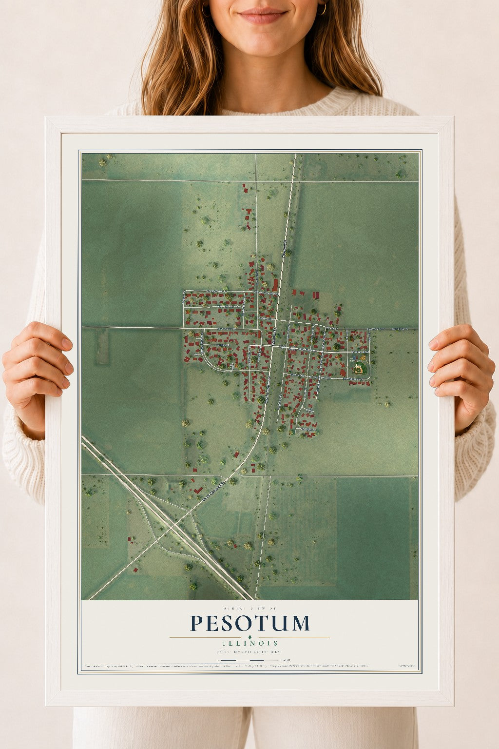 Map of Pesotum, Illinois, 18 x 24 inch print in a white wood frame
