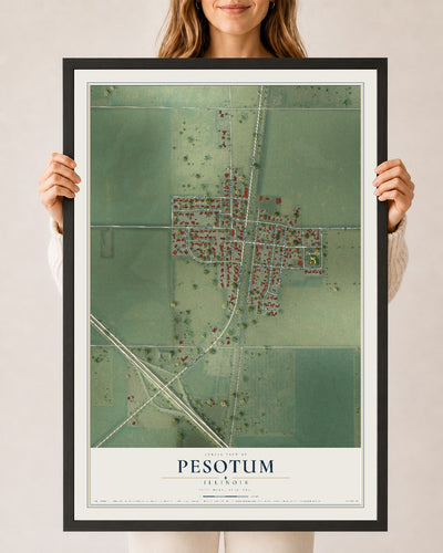 Map of Pesotum, Illinois, 24 x 36 inch print in a black wood frame