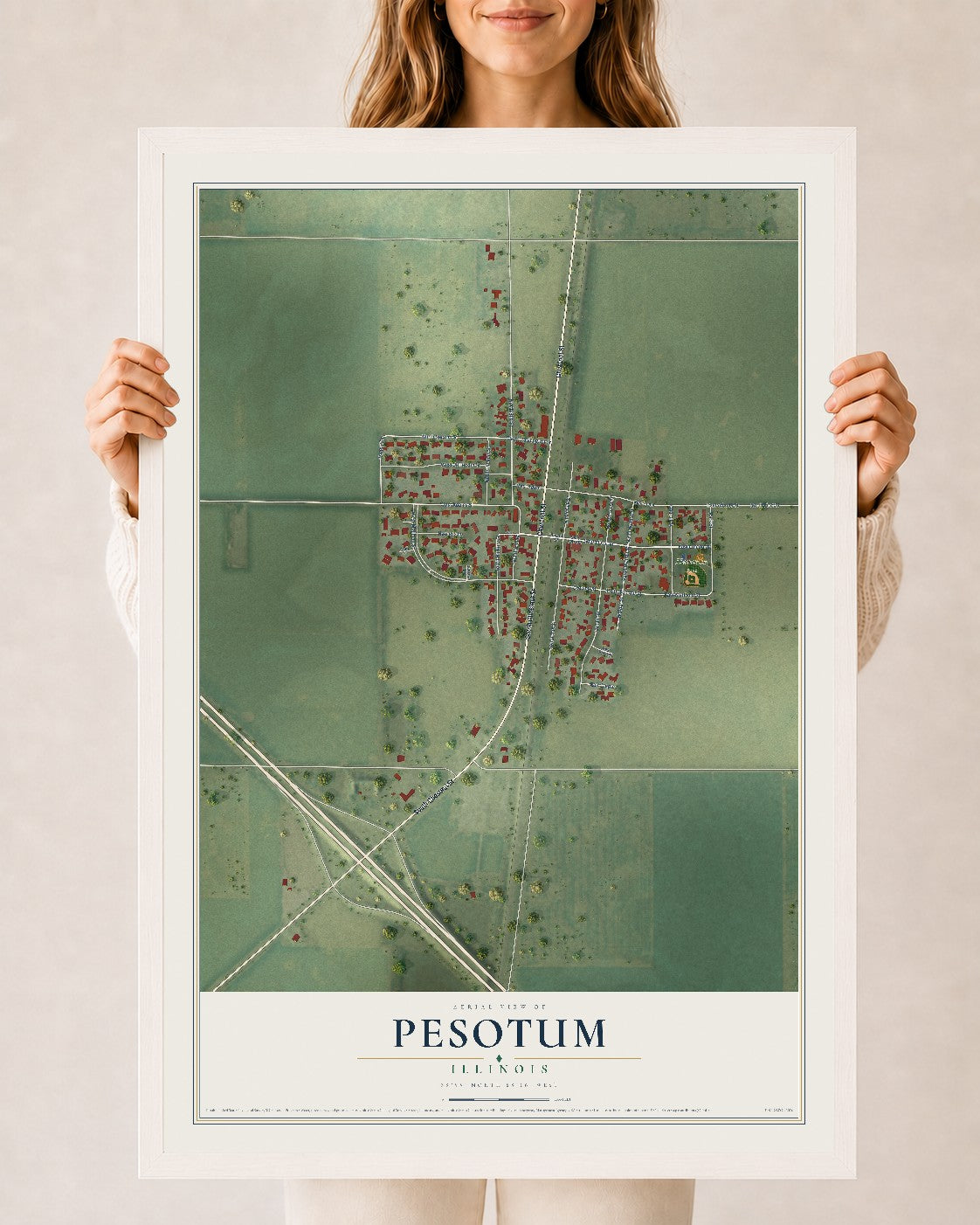 Map of Pesotum, Illinois, 24 x 36 inch print in a white wood frame