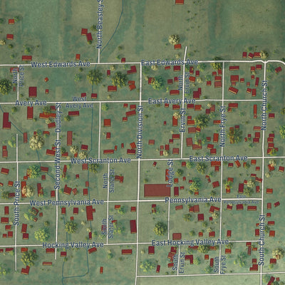 Close-up of the map of Pittsburg, Illinois print showing street and building detail