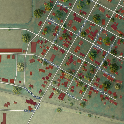 Close-up of the map of Pleasant Hill, Illinois print showing street and building detail