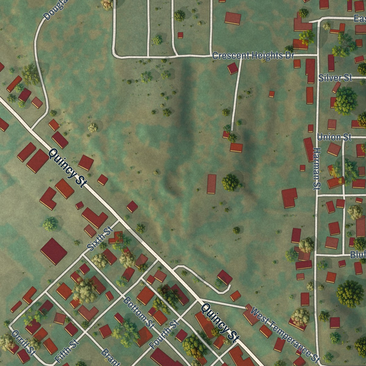 Second close-up of the map of Pleasant Hill, Illinois print showing more streets and buildings