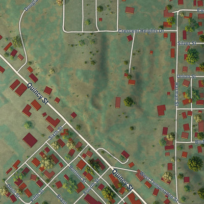 Second close-up of the map of Pleasant Hill, Illinois print showing more streets and buildings