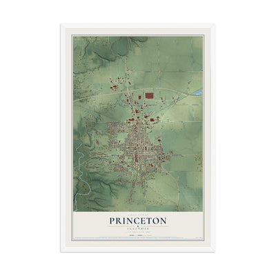 Map of Princeton, Illinois, 12 x 18 inch print in a white wood frame