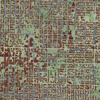 Close-up of the map of Quincy, Illinois print showing street and building detail