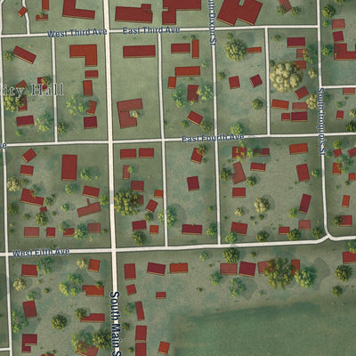 Close-up of the map of Rankin, Illinois print showing street and building detail