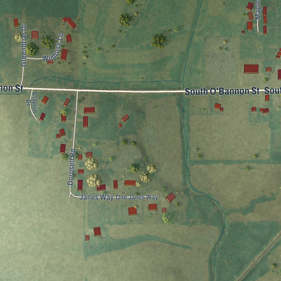 Second close-up of the map of Raymond, Illinois print showing more streets and buildings