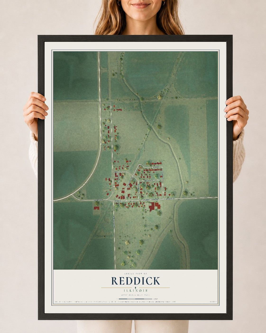 Map of Reddick, Illinois, 24 x 36 inch print in a black wood frame