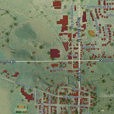 Close-up of the map of Richmond, Illinois print showing street and building detail
