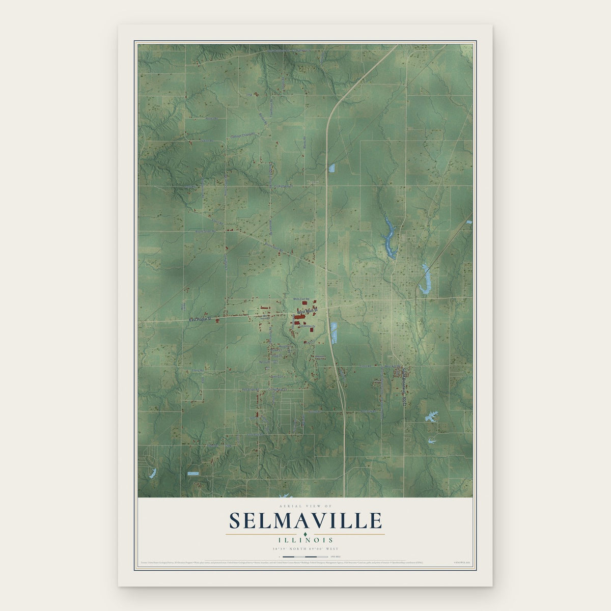 Selmaville, Illinois map print, the full design