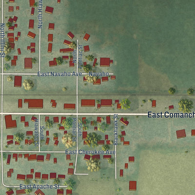 Second close-up of the map of Shabbona, Illinois print showing more streets and buildings