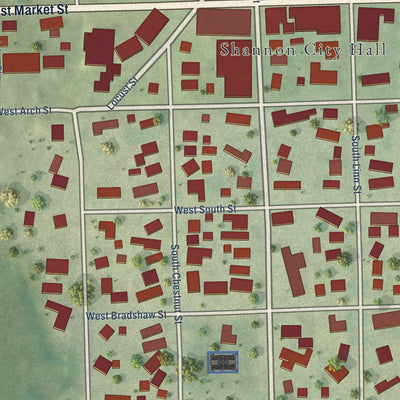 Close-up of the map of Shannon, Illinois print showing street and building detail