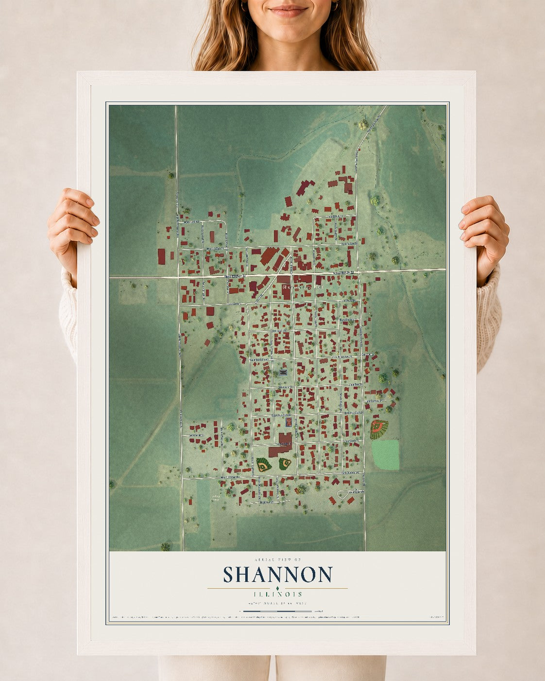Map of Shannon, Illinois, 24 x 36 inch print in a white wood frame