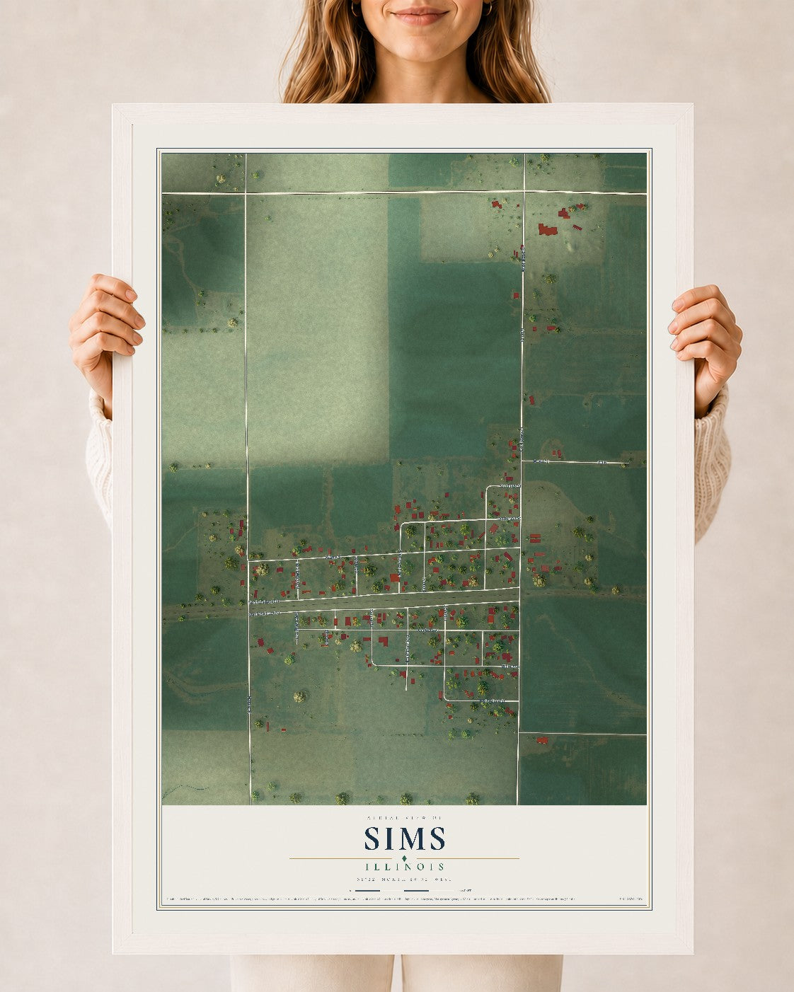 Map of Sims, Illinois, 24 x 36 inch print in a white wood frame