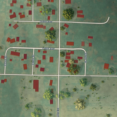 Close-up of the map of Swedona, Illinois print showing street and building detail