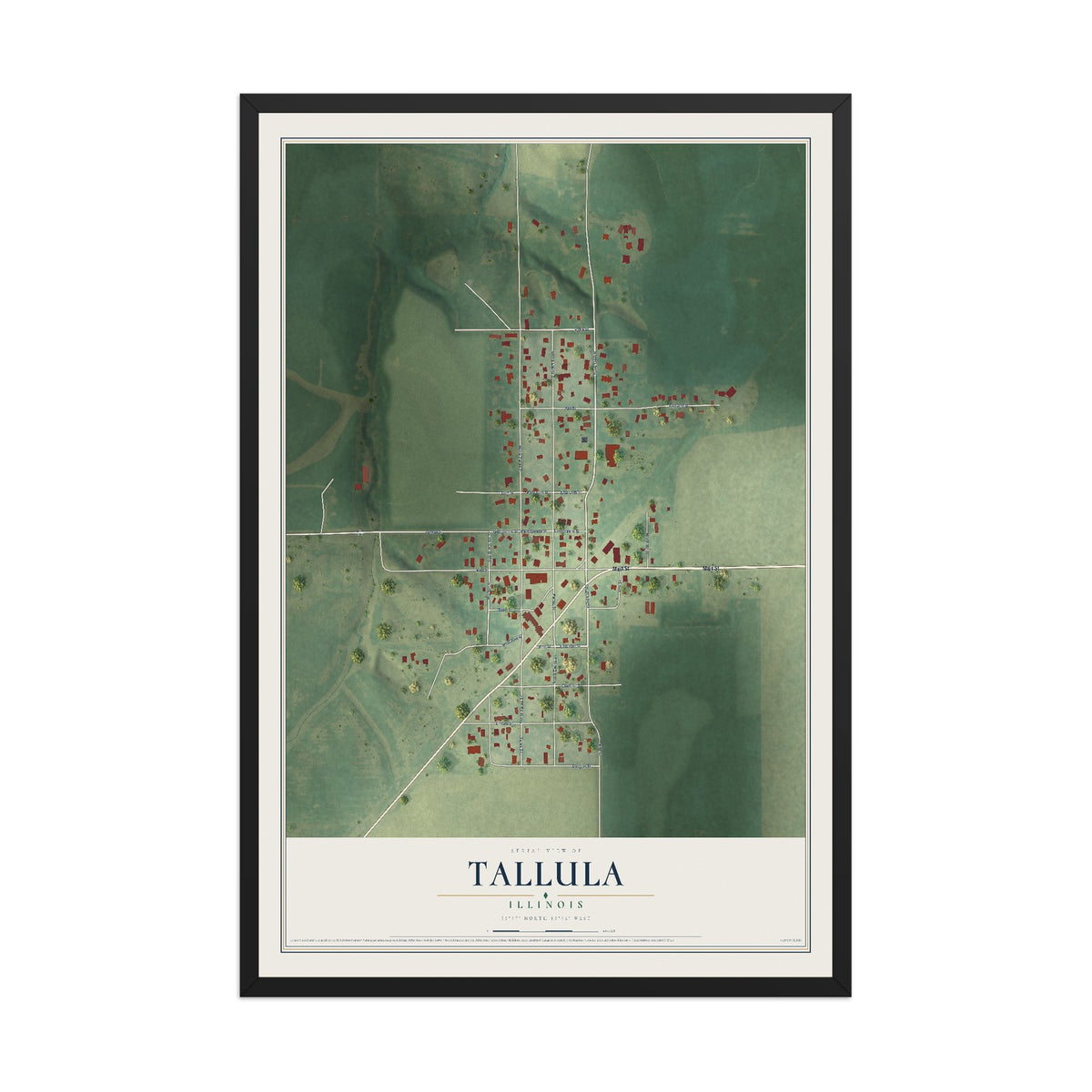 Map of Tallula, Illinois, 12 x 18 inch print in a black wood frame