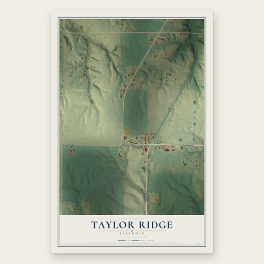 Taylor Ridge, Illinois map print, the full design