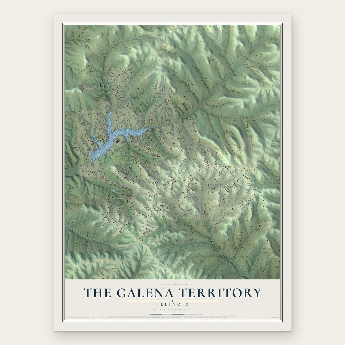 The Galena Territory, Illinois map print, the full design