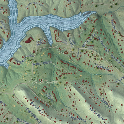Close-up of the map of The Galena Territory, Illinois print showing street and building detail