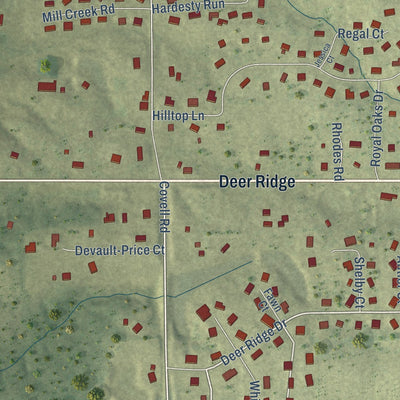 Close-up of the map of Twin Grove, Illinois print showing street and building detail