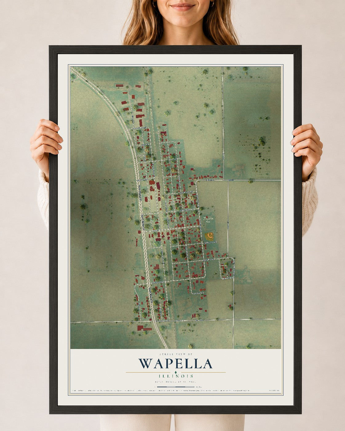 Map of Wapella, Illinois, 24 x 36 inch print in a black wood frame