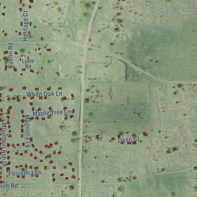 Close-up of the map of Wayne, Illinois print showing street and building detail