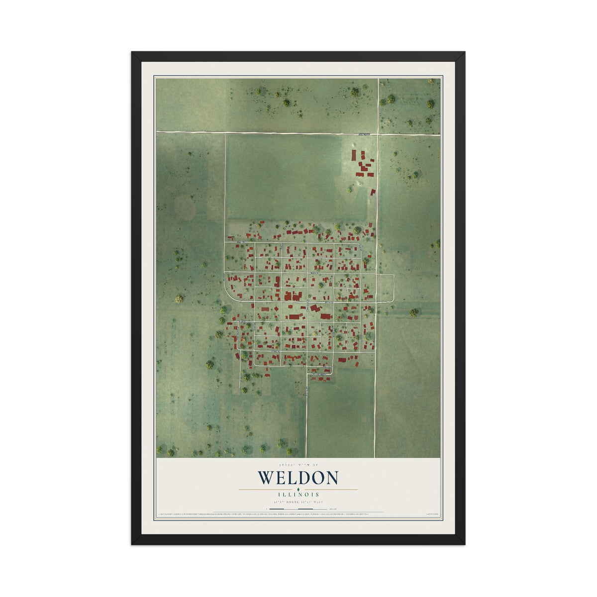 Map of Weldon, Illinois, 12 x 18 inch print in a black wood frame