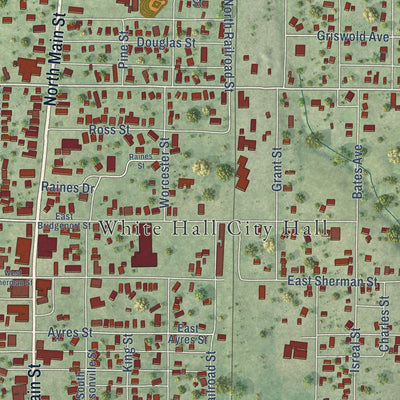 Close-up of the map of White Hall, Illinois print showing street and building detail