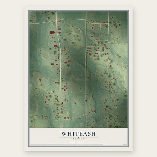 Whiteash, Illinois map print, the full design